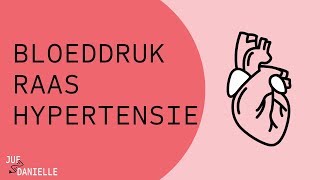 Bloeddruk, RAAS en hypertensie (VERNIEUWD)