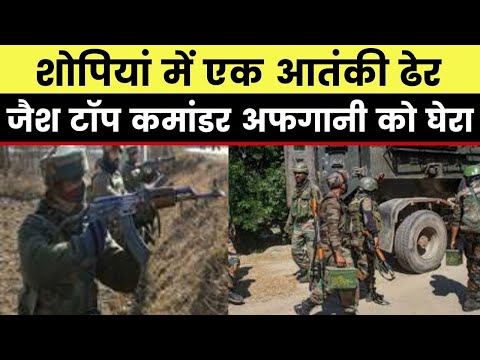 Shopian Encounter : शोपियां के रावलपोरा में एक आतंकी ढेर, जैश के टॉप कमांडर अफगानी को घेरा