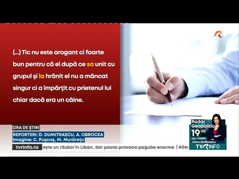 Perle la Evaluarea Națională 2024