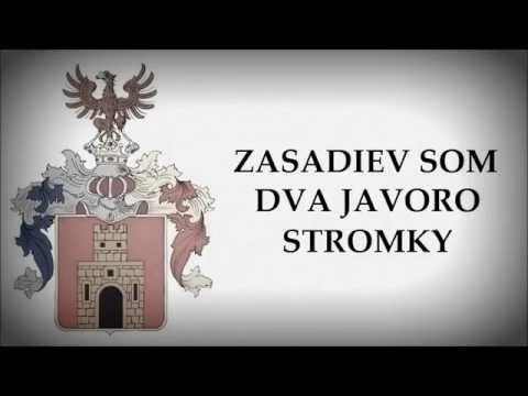 Piesne z Gemera 035 - ZASADIEV SOM DVA JAVORO STROMKY