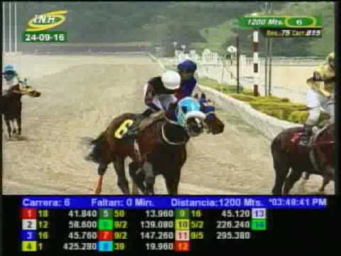 Resumen Sábado, 24 de Septiembre de 2016 - La Rinconada