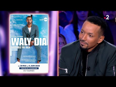 Waly Dia - On n'est pas couché 15 février 2020 #ONPC