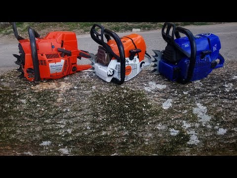 Big chainsaws in big wood