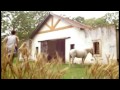 Fobia-Me siento vivo 