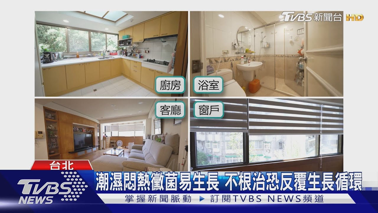 潮濕悶熱黴菌易生長 不根治恐反覆生長循環