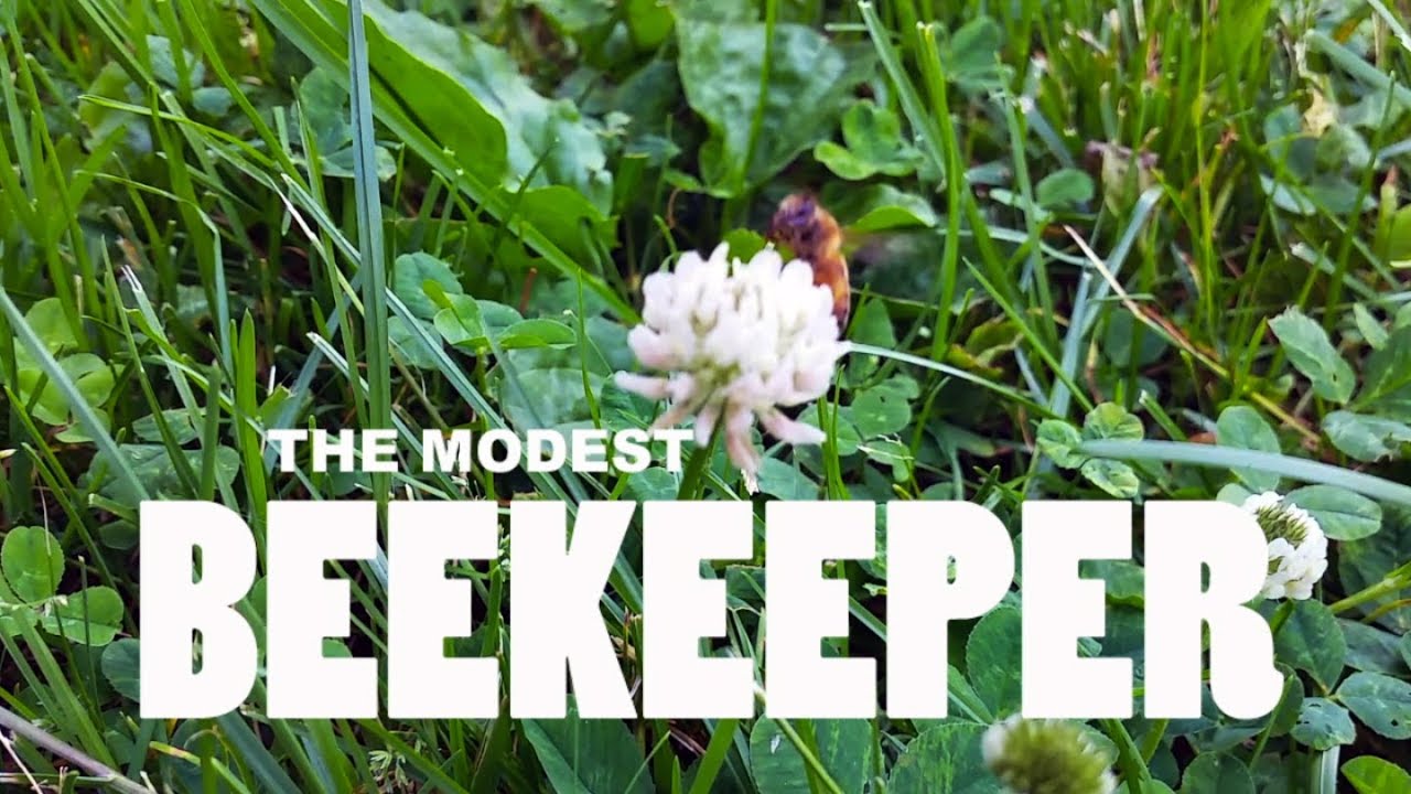 The Modest Beekeeper - A Documentary