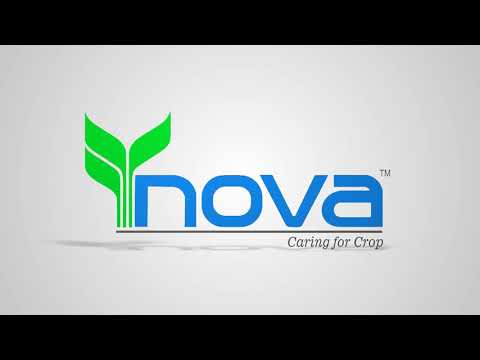Nova International........... Double Profit