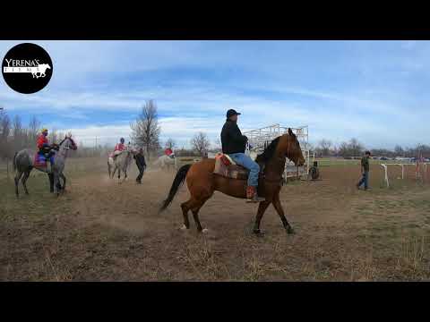 EL GRINGO VS EL FISH VS EL TOBI VS EL SIN SUERTE