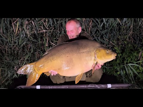 Parco del Brenta Italy, Carp Fishing August 2024