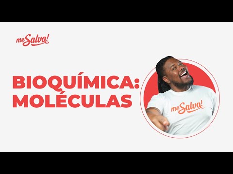 Bioquímica: moléculas que constroem a vida | AULA do ZERO - Biologia | Me Salva! ENEM 2021
