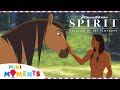 Spirit Finds A New Family Spirit Stallion Of The Cimarron Best Bits Mini Moments