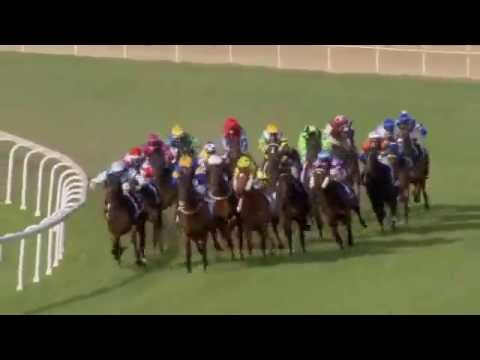 2014.06.07 Queensland Derby - Sonntag