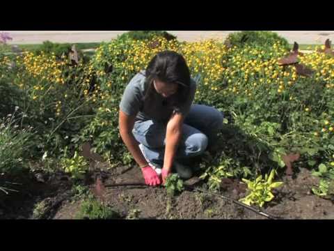 Toro Drip Irrigation — Easy as 1, 2, 3