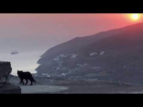 Cinéma du réel 2020 - LETHE de Christophe Pellet