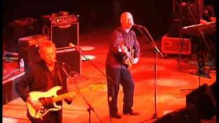 The Fortunes :Here it Comes Again