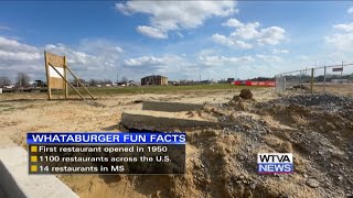 Whataburger coming to Tupelo