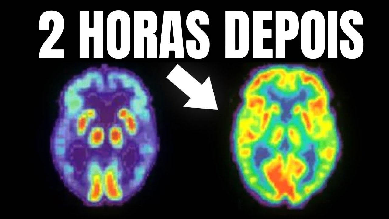 O Mindset que vai mudar a sua vida IMEDIATAMENTE