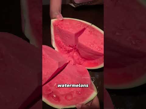 How Farmers Grow Super Watermelons!