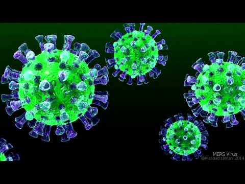 корона вирус флексит 10 часов под малинки малинки