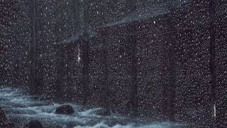 Relieve insomnia and stress with the sound of heavy rain and thunder in the forest at night