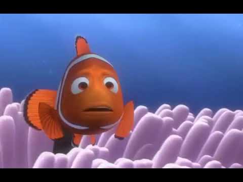 Finding Nemo Barracuda