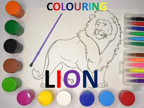 Colouring The Animals - Lion