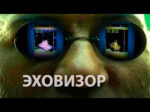 Структурный датчик Эховизор VS стандартный датчик для Практик 8