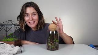 Quick Terrarium Plant Display