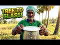 Fresh Neera Sap Harvesting Toddy Palm Juice Neera Benefits Village Palm Food