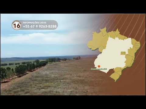 Terralmo 16: Fazenda à venda em Serranópolis/GO