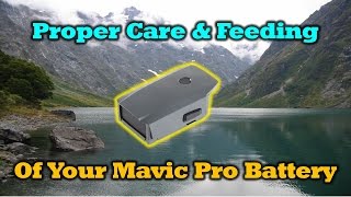 Mavic Pro Battery - Proper Care & Feeding