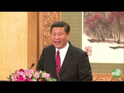 'Repression Over Reform' in China: Amnesty