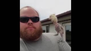 JJ DOOM - Dawg Friendly