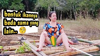 Download lagu Akar bambu sampai terlihat saat rakit bergerak, mancing mania mancing ambyar mp3 Download lagu Akar bambu sampai terlihat saat rakit bergerak, mancing mania mancing ambyar mp3