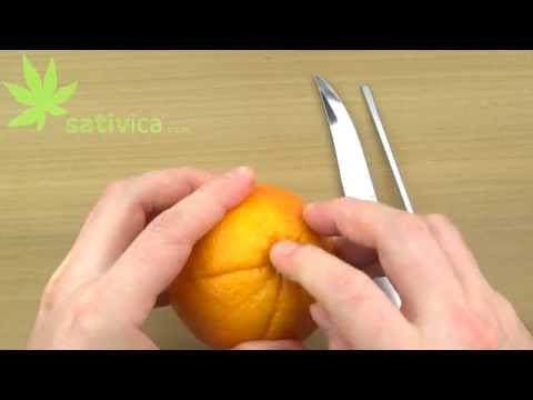 download lagu mp3 mp4 Orange Bong, download lagu Orange Bong gratis, unduh video klip Orange Bong