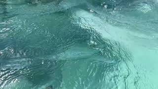Ind&uacute;stria do entretenimento Hydropool 19DTFX AquaSport | Imagem 4 - Machineryline