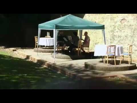 Music with Reeds video.