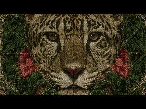 Organic Beats and my world gone