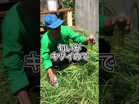 春になったら除草剤を撒いたほうがいいでしょうか?すべきこととしてはいけないこと  庭園