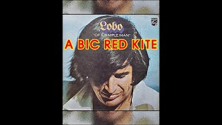 A BIC RED KITE ( LOBO )