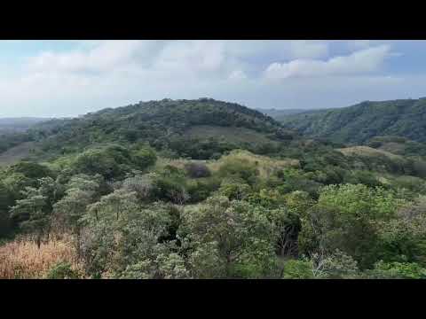 10 manzanas  en venta en canton el jiote chirilagua san miguel precio 75,000 negociable 