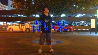 【踊ってみた】「青い栞」即興で踊ってみた！