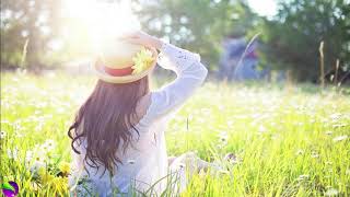 (No Copyright) 01 hour Relaxing Music-Meditation Music-Sleep Music-Music For Stress Relief