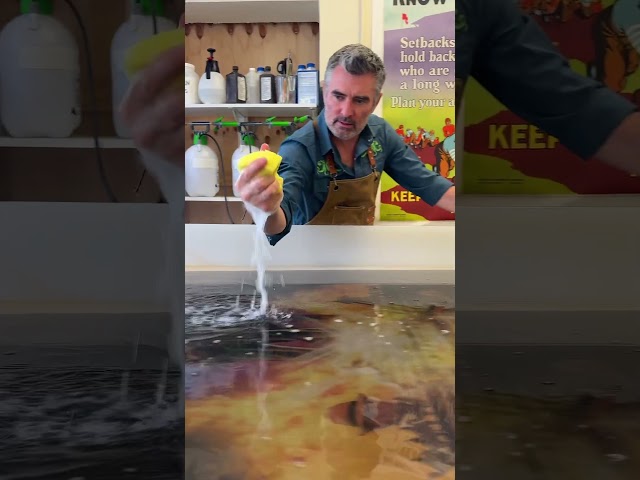 Vídeo relacionado con Lucasfilm Indiana Jones Raiders of the Lost Ark Poster Art Camiseta