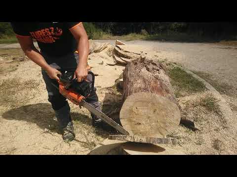 Olympic (Oleo Mac) Chainsaw 480a super! Az olasz őserő😁!