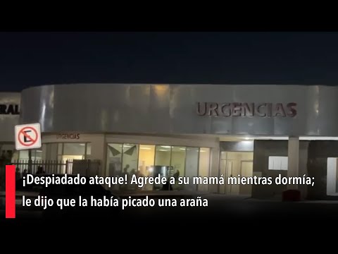 ¡Despiadado ataque! Agrede a su mamá mientras dormía; le dijo que la había picado una araña