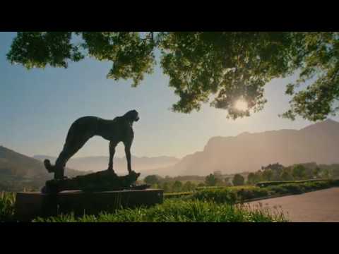 Delaire Graff Estate art