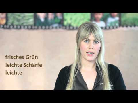 Moringa Blattpulver - Kontrollierte Bio- und Wildwuchs Qualitäten