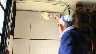 השקיית עציץ מרפסת הרחוק ממך (ידידנו היקר משה רצון ז"ל) - התמונה מוצגת ישירות מתוך אתר האינטרנט יוטיוב. זכויות היוצרים בתמונה שייכות ליוצרה. קישור קרדיט למקור התוכן נמצא בתוך דף הסרטון