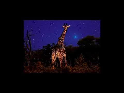 Night Skies of Botswana by Stephen O'Meara - YouTube